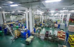 网通过10个语种11个文版