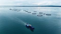 将进一步降低农户成本取粮食